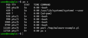 perl backdoor example